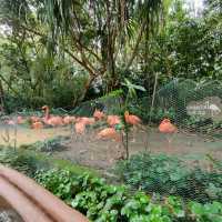 Asia's first and only river-themed park