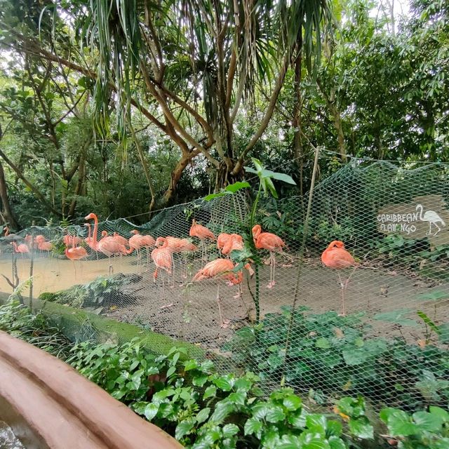 Asia's first and only river-themed park