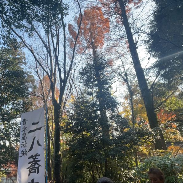 따뜻한 온소바에 사르륵 온몸이 녹는다 녹아!