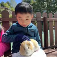 親子旅遊必到景點 - 九州自然動物園