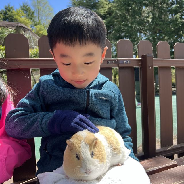 親子旅遊必到景點 - 九州自然動物園