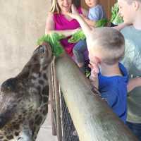 What a furrr-tastic adventure!!!! 