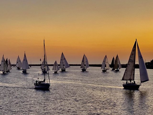 Unforgettable boat racing experience in MDR