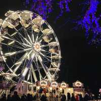 Rathaus Christmas Market Vienna 