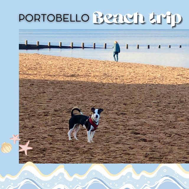 愛丁堡屢獲殊榮的迷人海濱Portobello Beach