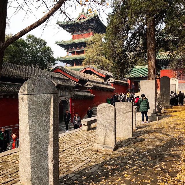 동양무술의 요람, 소림사(小林寺)