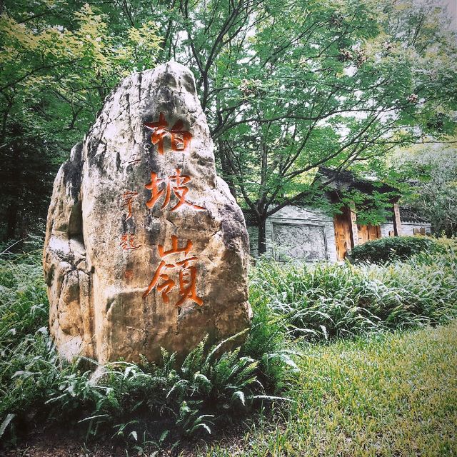 Rock Garden 🌿🌈🙃