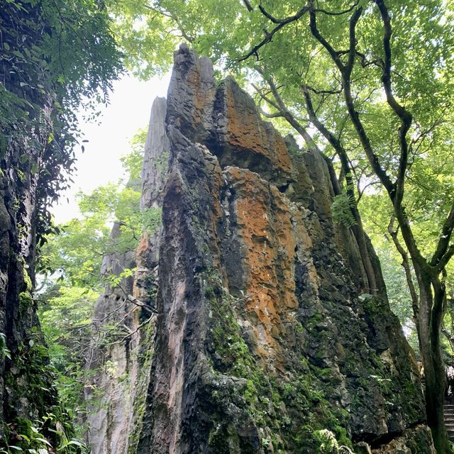 Shilin Stone Forest - Kunming, Yunnan