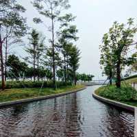weekend walk in Haibin park 🚶‍♀️🚶‍♀️🚶‍♀️
