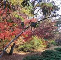 The Flower Path Garden Ruqin Lake Jiangxi