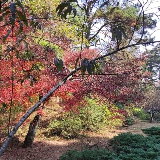 The Flower Path Garden Ruqin Lake Jiangxi