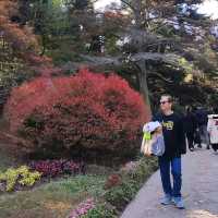 The Flower Path Garden Ruqin Lake Jiangxi