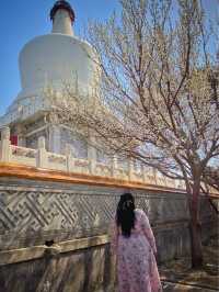 spring is the best to visit Beijing’s parks 