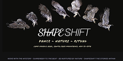 Shapeshift | Camp Double Bear- Rural Retreat Center