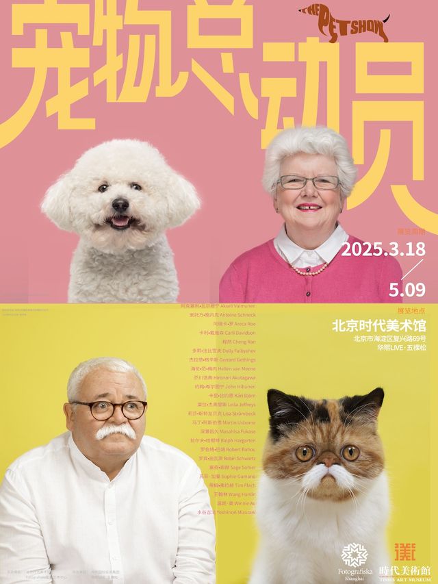 寵物友好 | 北京時代美術館《寵物總動員》｜展覽休閒 | 北京時代美術館