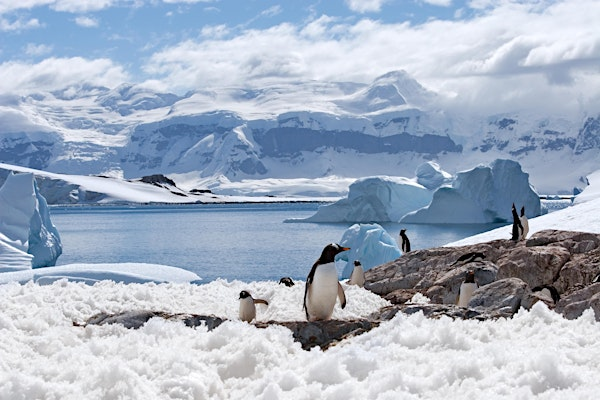 Expedition cruising with National Geographic Lindblad Expeditions | CAA Orleans Travel Store