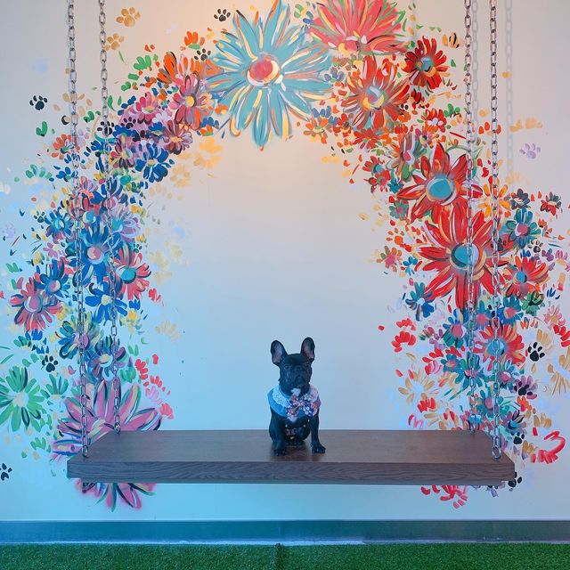 將軍澳超大pet friendly餐廳