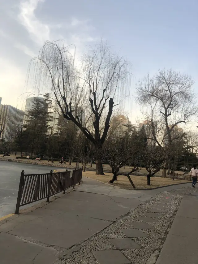 北京市中心的休閒公園