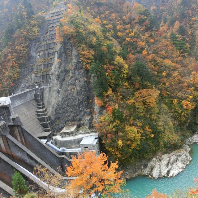 【富山】トロッコ電車に乗って出逢えた秘境