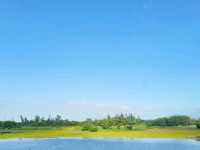 候鳥天堂。香港濕地公園 Hong Kong Wetland Park