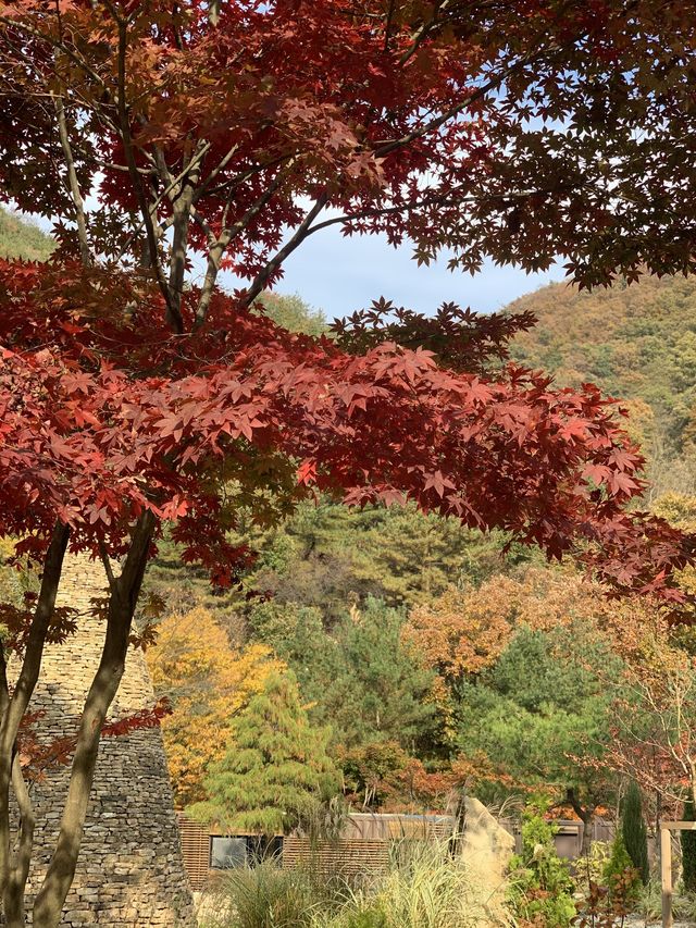 [상소동 산림욕장] 한국의 앙코르와트🗿