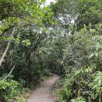 大自然奇觀，巨型摺曲洗衫板岩層