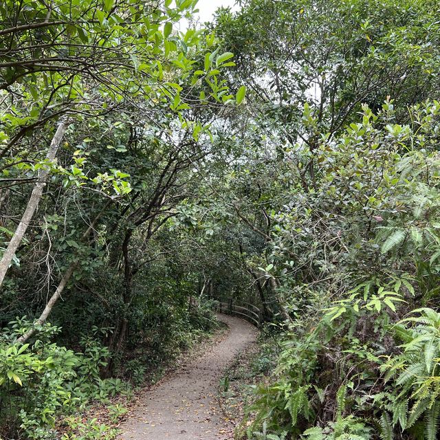 大自然奇觀，巨型摺曲洗衫板岩層