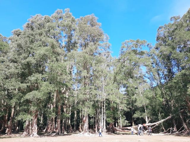 城門水塘