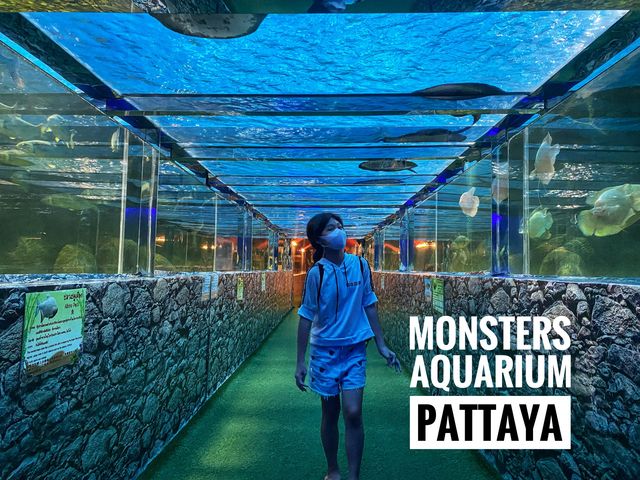  Monsters aquarium pattaya  สวนสัตว์ในร่ม