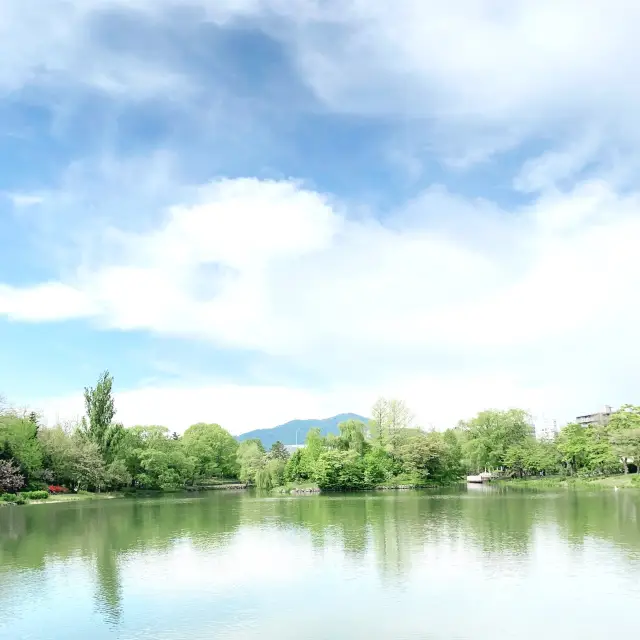 朝の散歩にとびきりおすすめ❗️中島公園