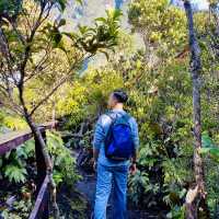 hiking in kundasang- maragang hill 