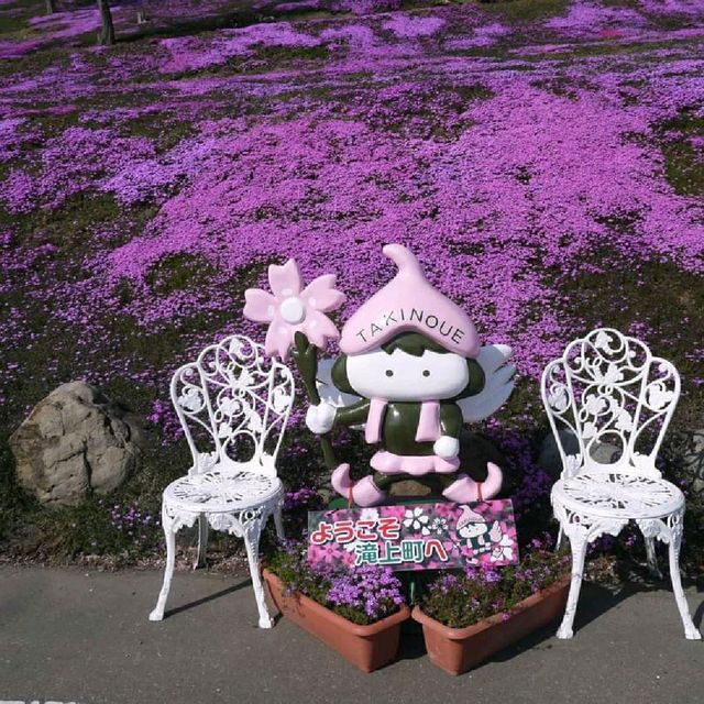 北海道瀧上芝櫻公園