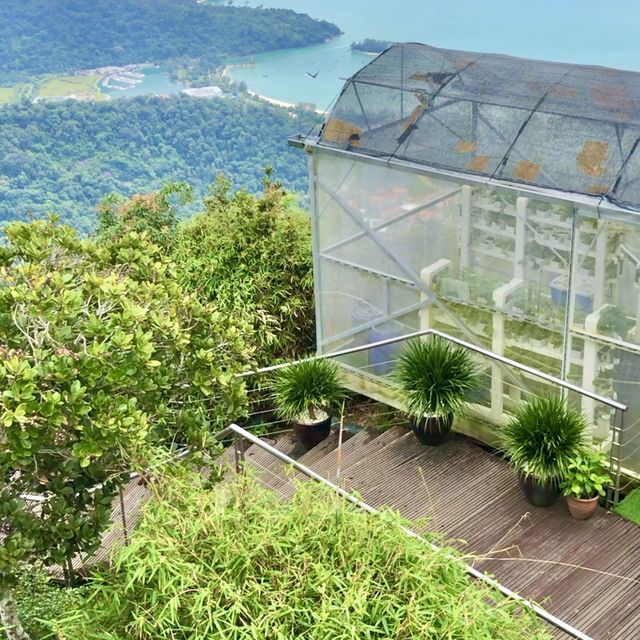 LANGKAWI SKYCAB 🚠