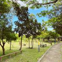 假日散步的好去處｜森林公園｜享受悠閒的一整