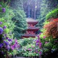 temple of flowers