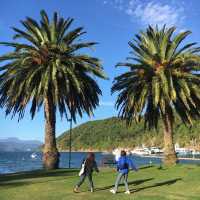 뉴질랜드 남섬🇳🇿 아름답고 평화로운 해변 마을, 픽턴🏝