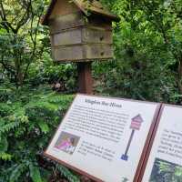 Ethnobotany Gardens Singapore 