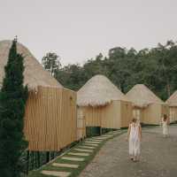 Cozy Wild เชียงใหม่