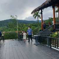 ไร่ชา1000 ไมลฺ์ ที่ใครๆต้องไม่พลาด