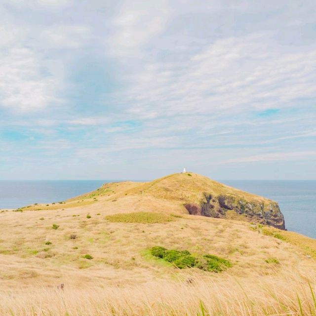 🏝제주도에서 가장 크고 아름다운 무인도 [제주, 차귀도]