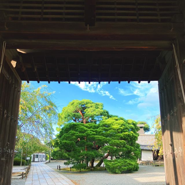 【京都】豊臣秀吉の豪華絢爛ぶりを感じる
