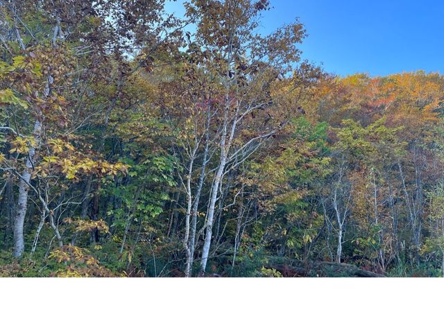 【青森】リフレクションの絶景✨蔦沼の紅葉