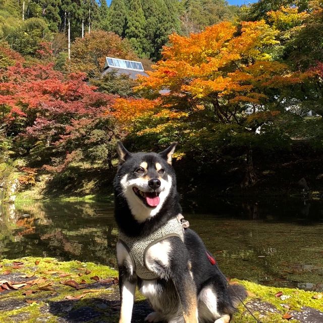 光と水とみどりあふれる和歌をテーマにしたミュージアム