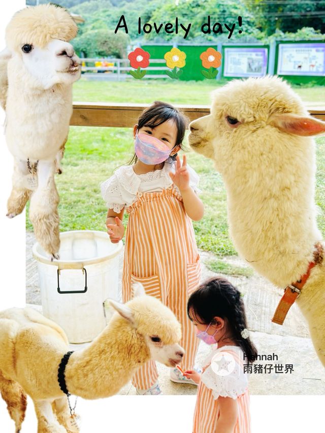 蝶豆花園BBQ