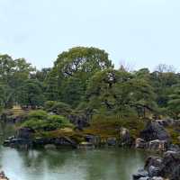 春の二条城