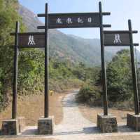 The Wisdom Path 
