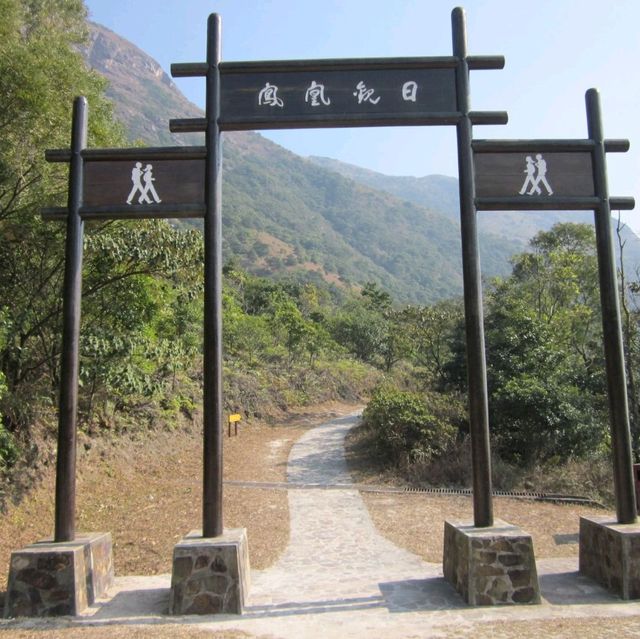 The Wisdom Path 