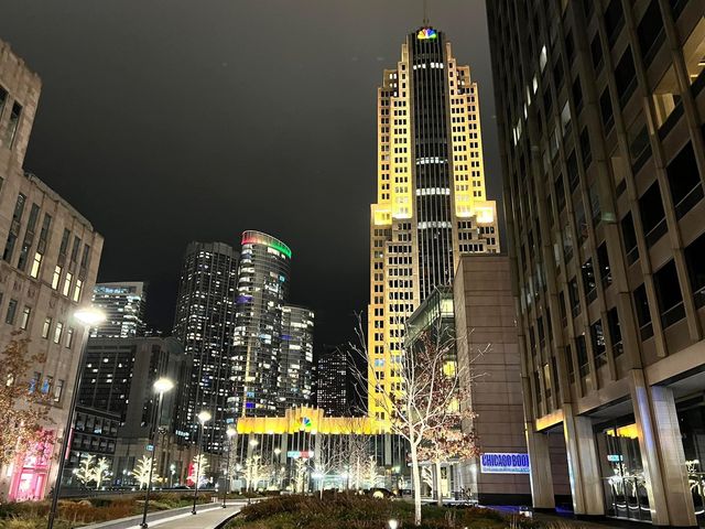 Evening Walk - Chicago during Christmas 