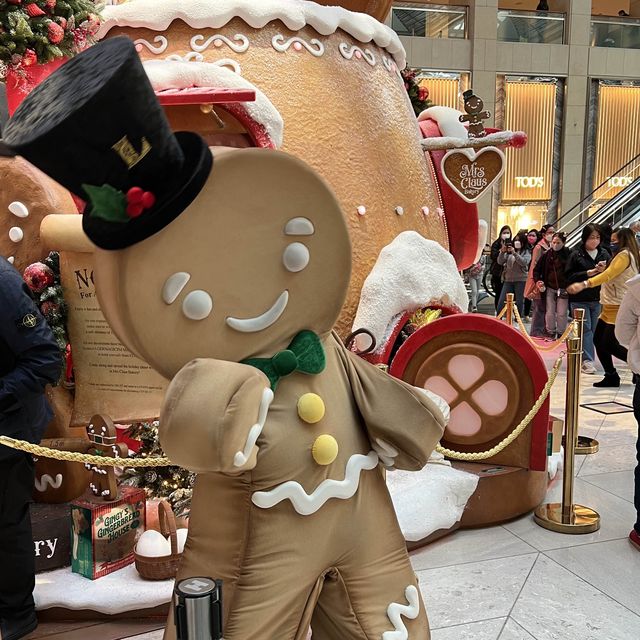 聖誕婆婆與姜餅人陪你過聖誕🧑‍🎄🎄