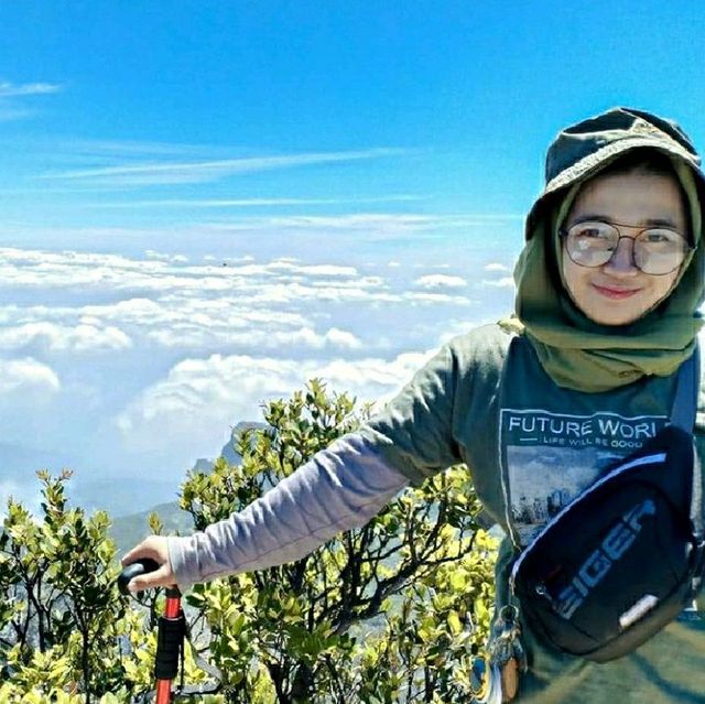 SEMERU MOUNTAIN